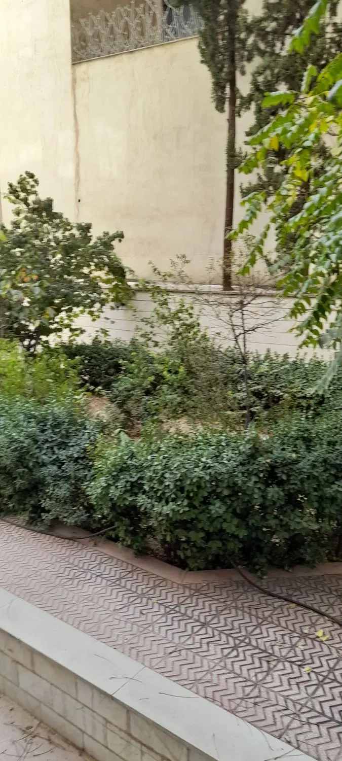 ۲۸۸ متر کلنگی فاطمی