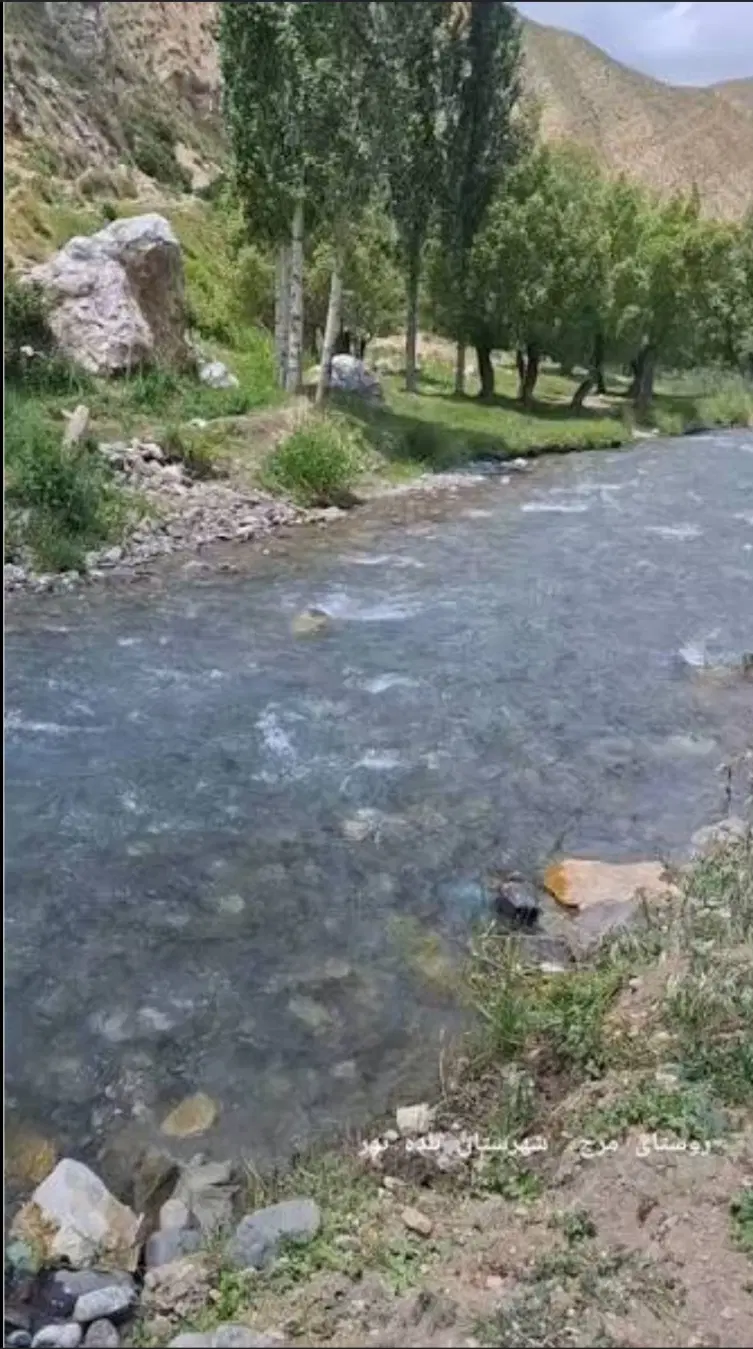 زمین ییلاقی مناسب ویلا کنار رودخانه