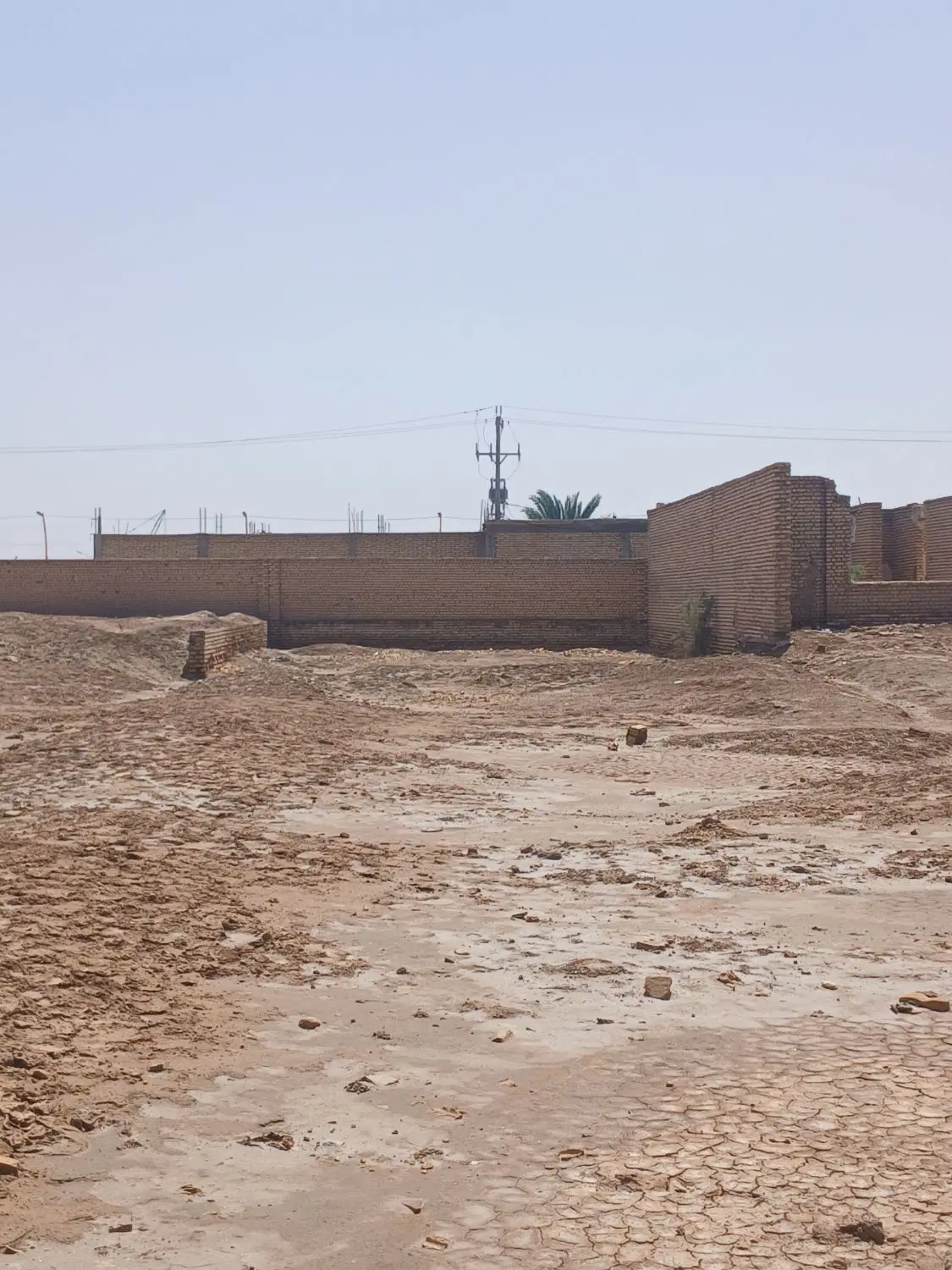زمین