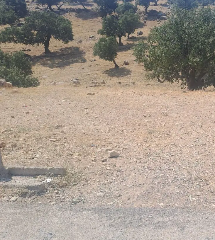 فروش زمین تجاری مسکونی بر خیابان ابگشنه