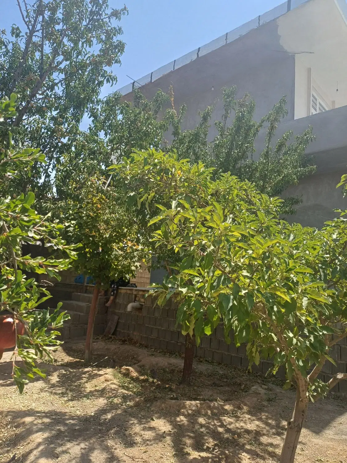 باغشهری