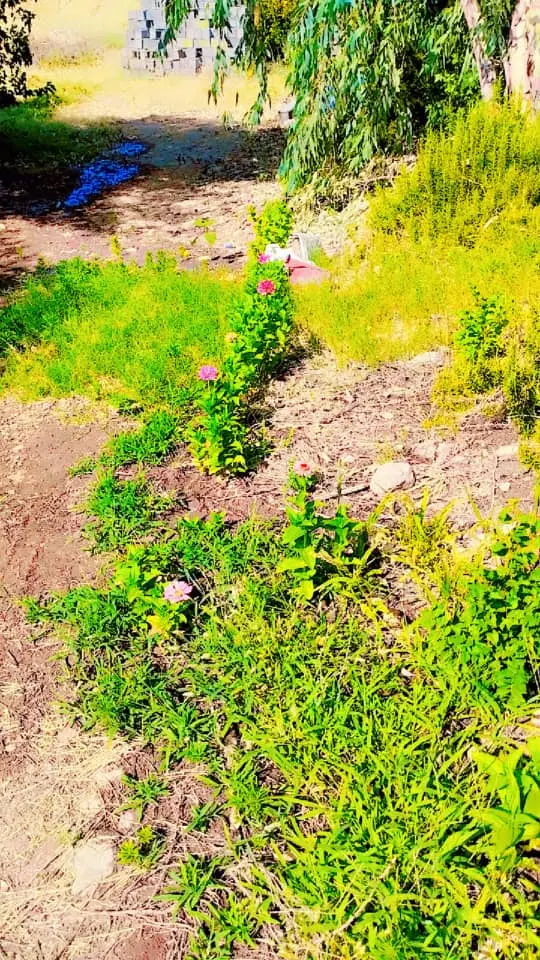 زمین تجاری خروجی سراب تاوه