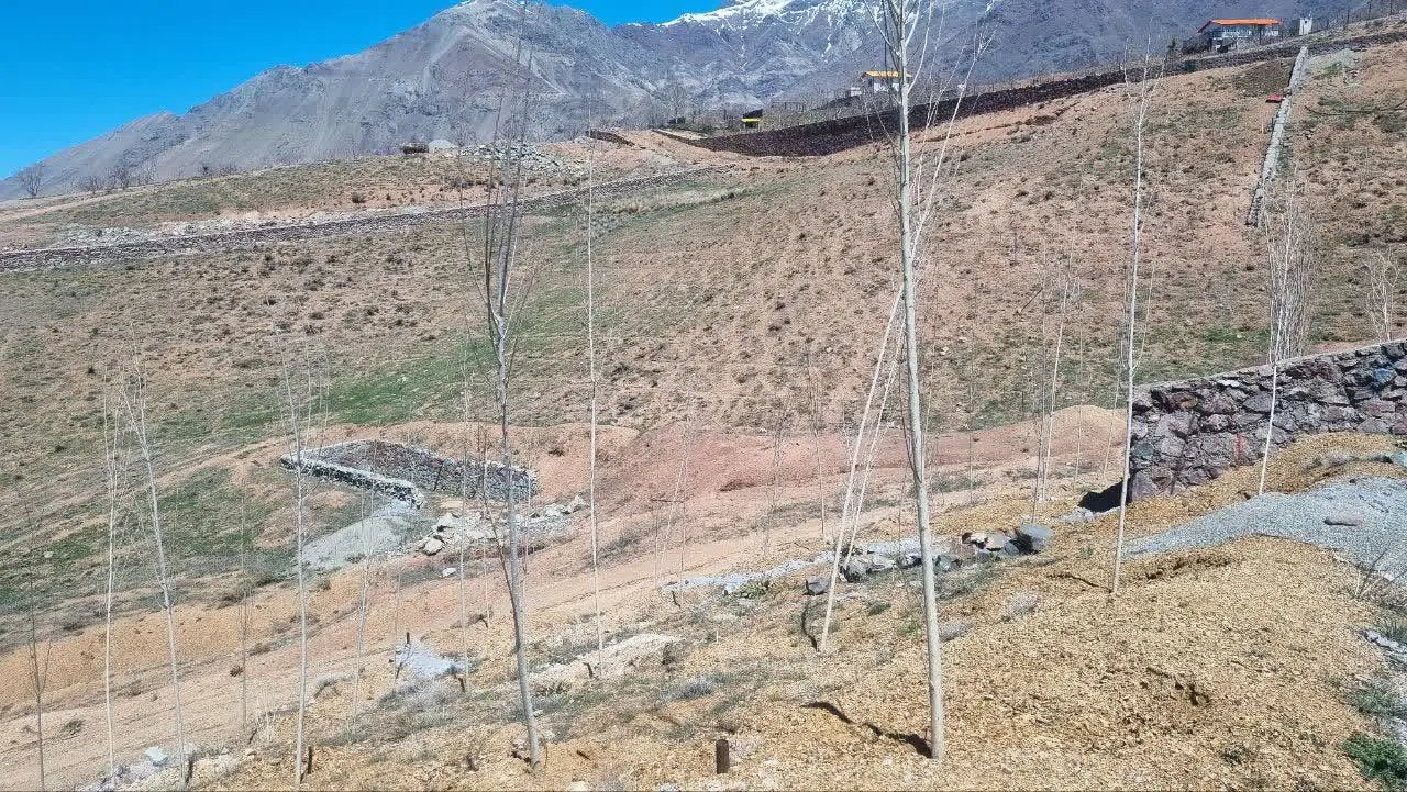 ۵۰۰ متر زمین در بان لواسان