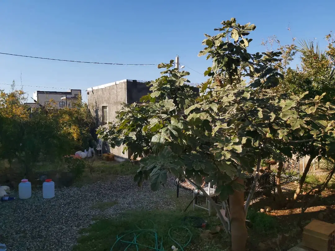 خانه ویلایی طراز ناهید