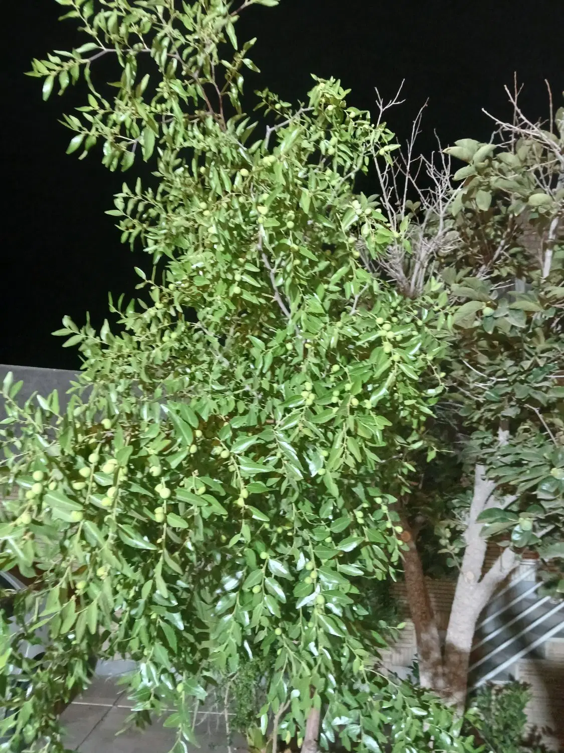 خانه ویلایی ملک شهر ۱۷ شهرویر