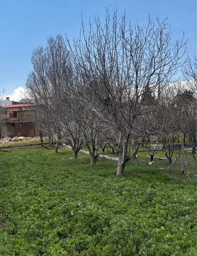 ۱_۱۰۰متر زمین واقع دربروجرد ۵دقیقه ای چغا