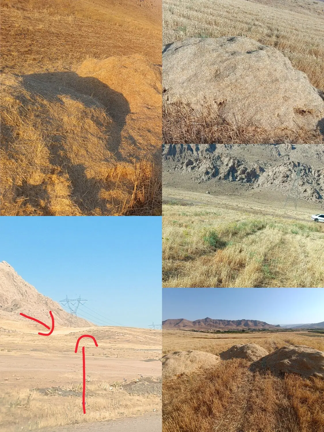 کاه جو