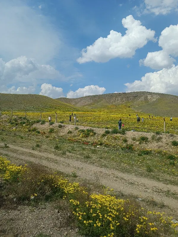 زمین مسکونی آماده ساخت شبستر