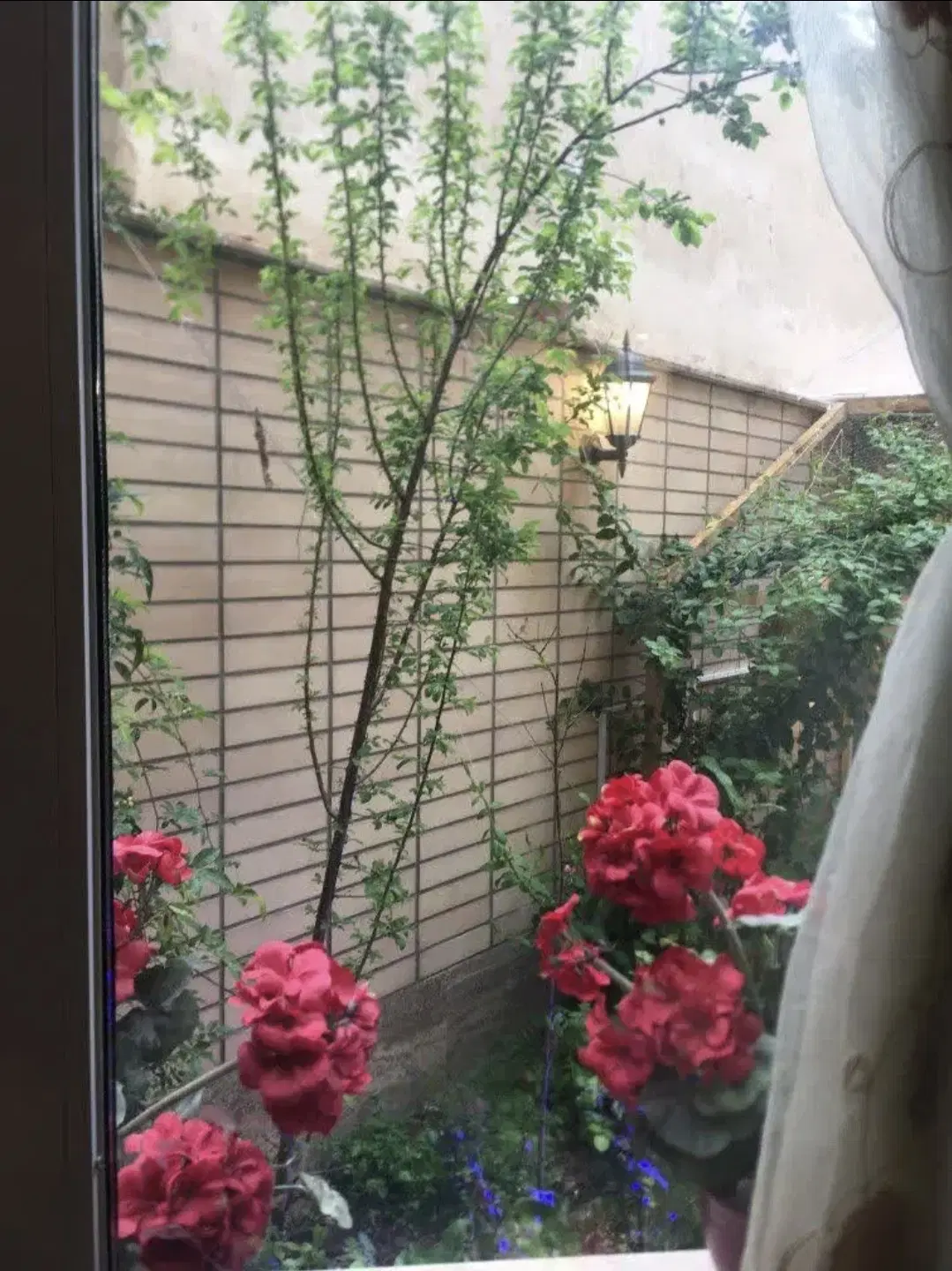 فروش آپارتمان دوواحدی