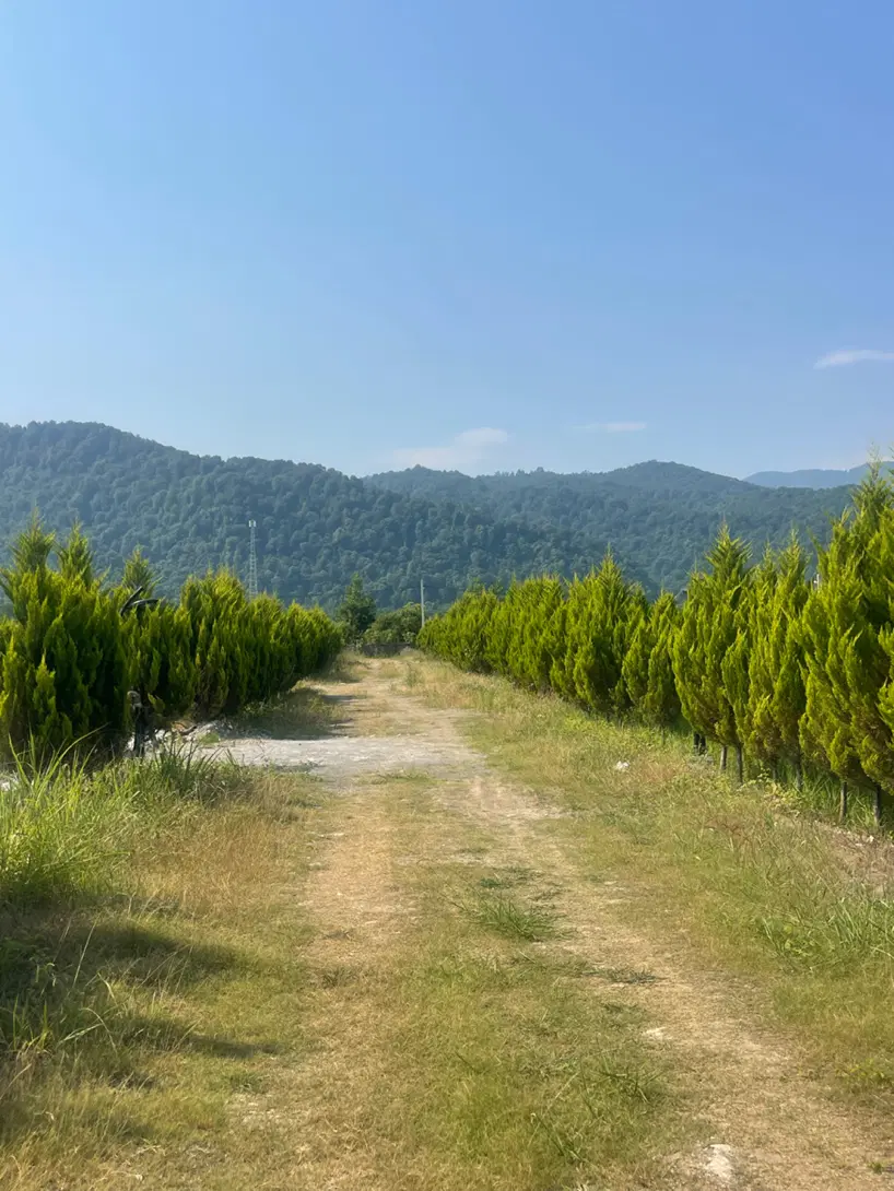 ۲۵۰م زمین فقط ۴ میلیارد_سند تک برگ شهرکی سی سرا