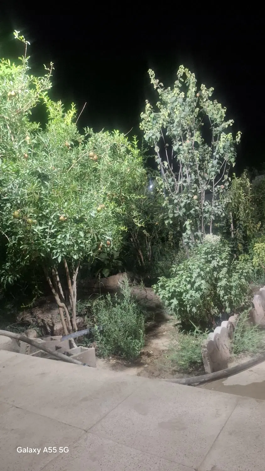 خانه باق قرچک قله نو املاک