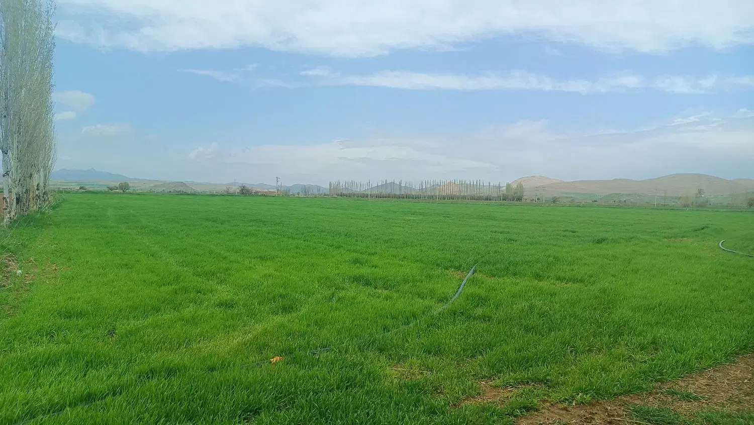 زمین کشاورزی واقع در روستای جزینان
