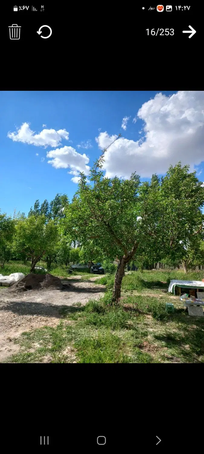 باغ فروشی