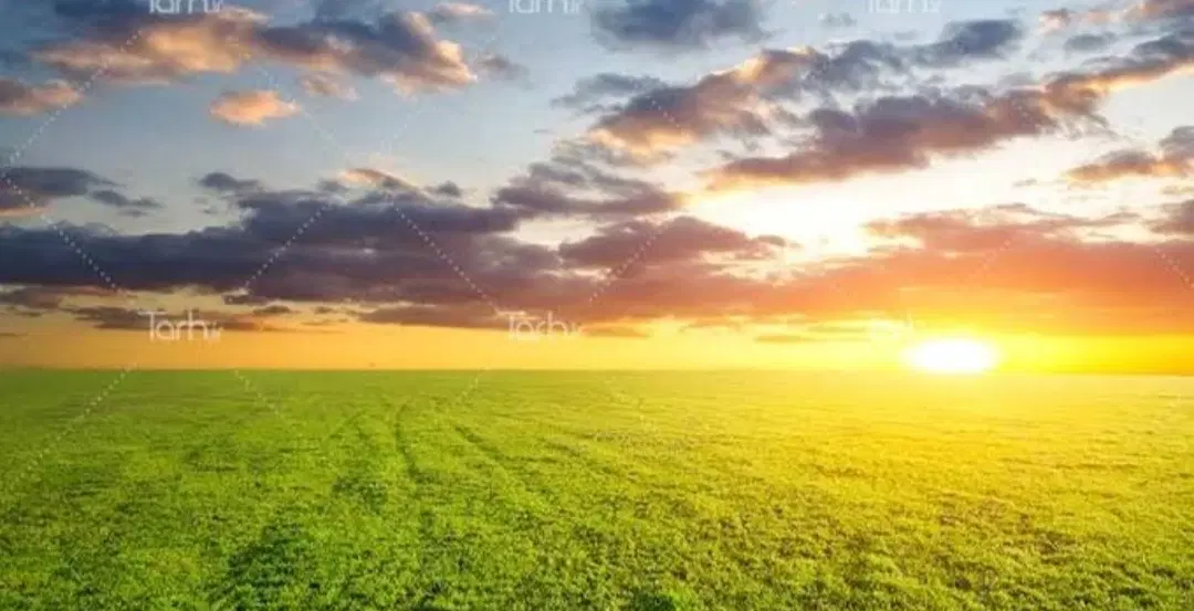 زمین کشاورزی واقع در ساتیان