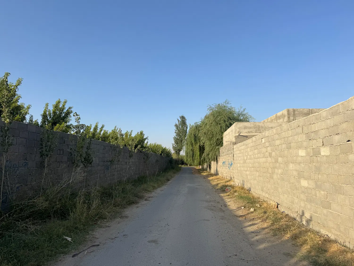 زمین تهراندشت نمکلان