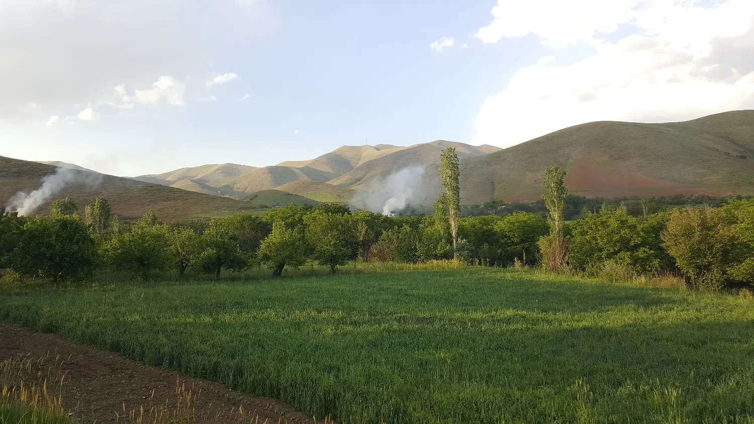 زمین کشاورزی