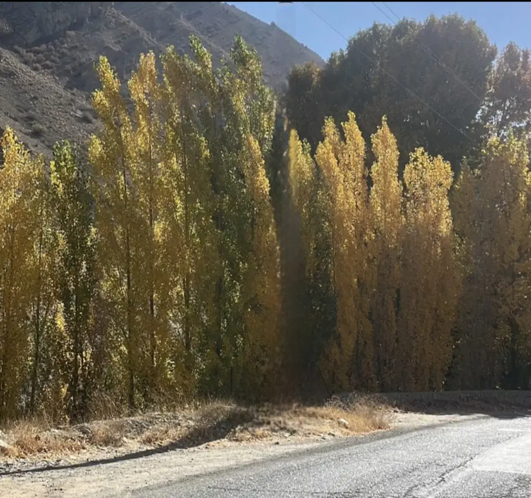 خانه ویلایی