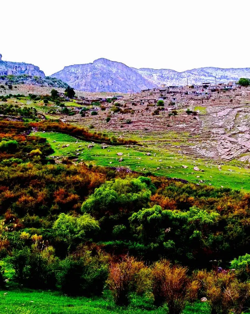 زمین محصور ورودی بنیان علیا  سمت راست