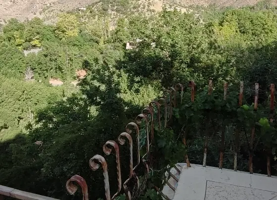 باغ باغچه بکر پرآب ۱۲۰۰متر