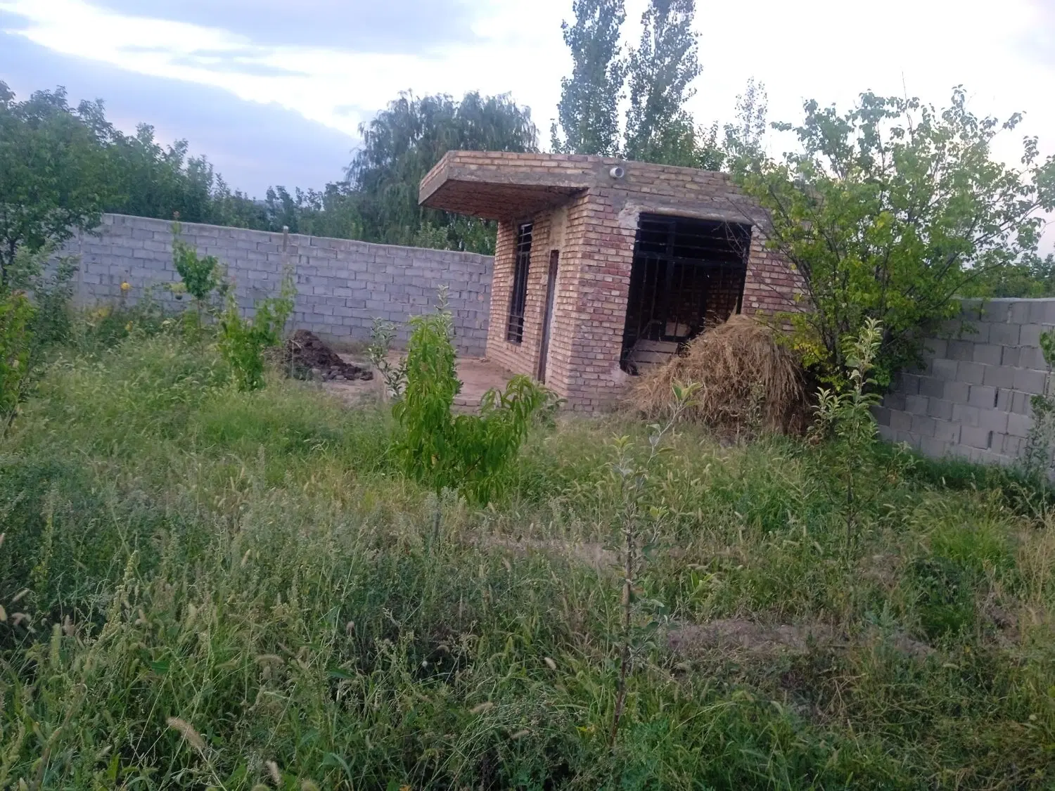 باغ در روستای چرچر