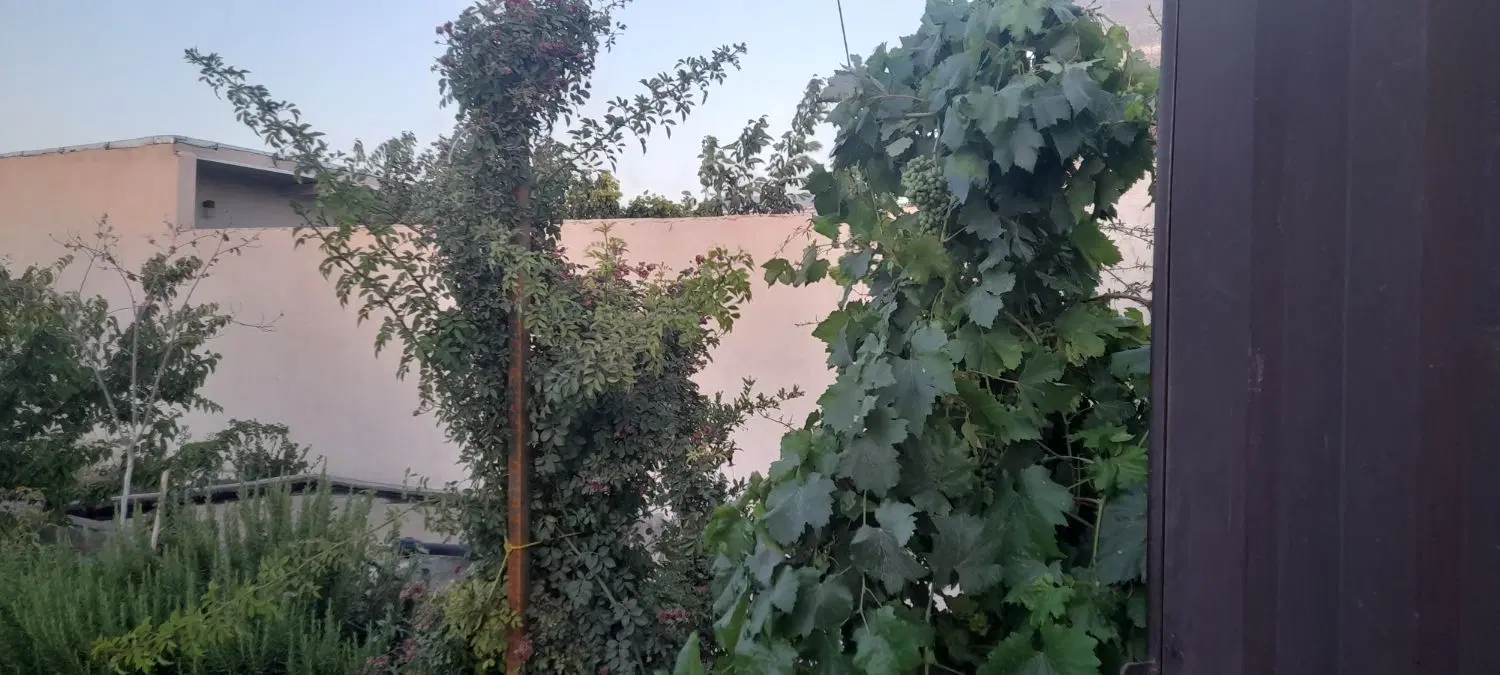 263متر باغچه معاوضه با خودرو