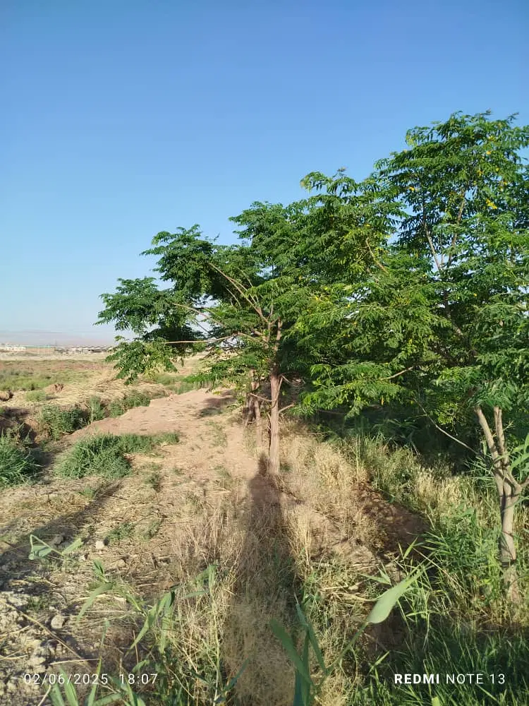 فروش یک قطعه زمین در ۱۰۸ متری خیراباد
