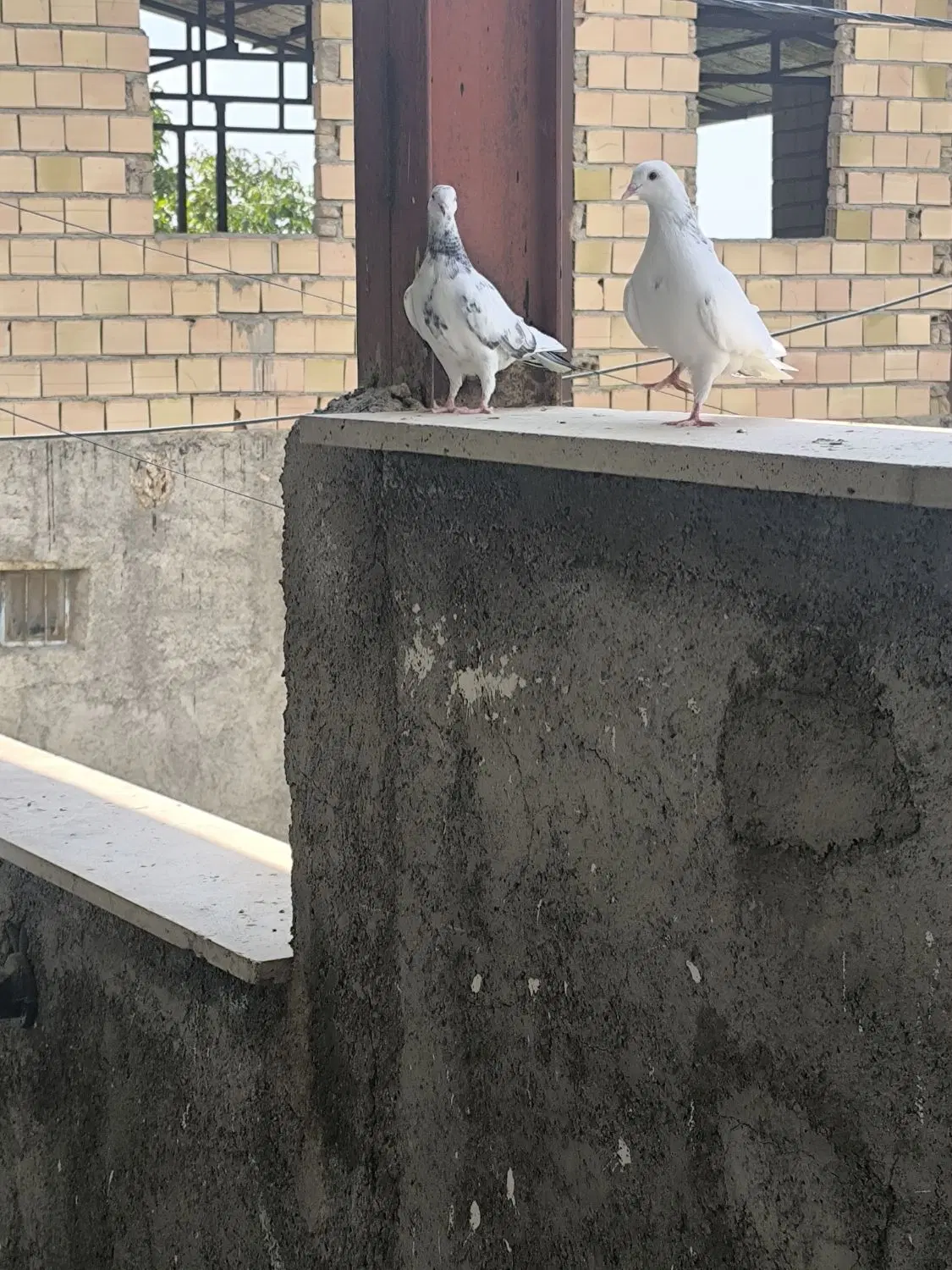 رهن دربستی ویلایی