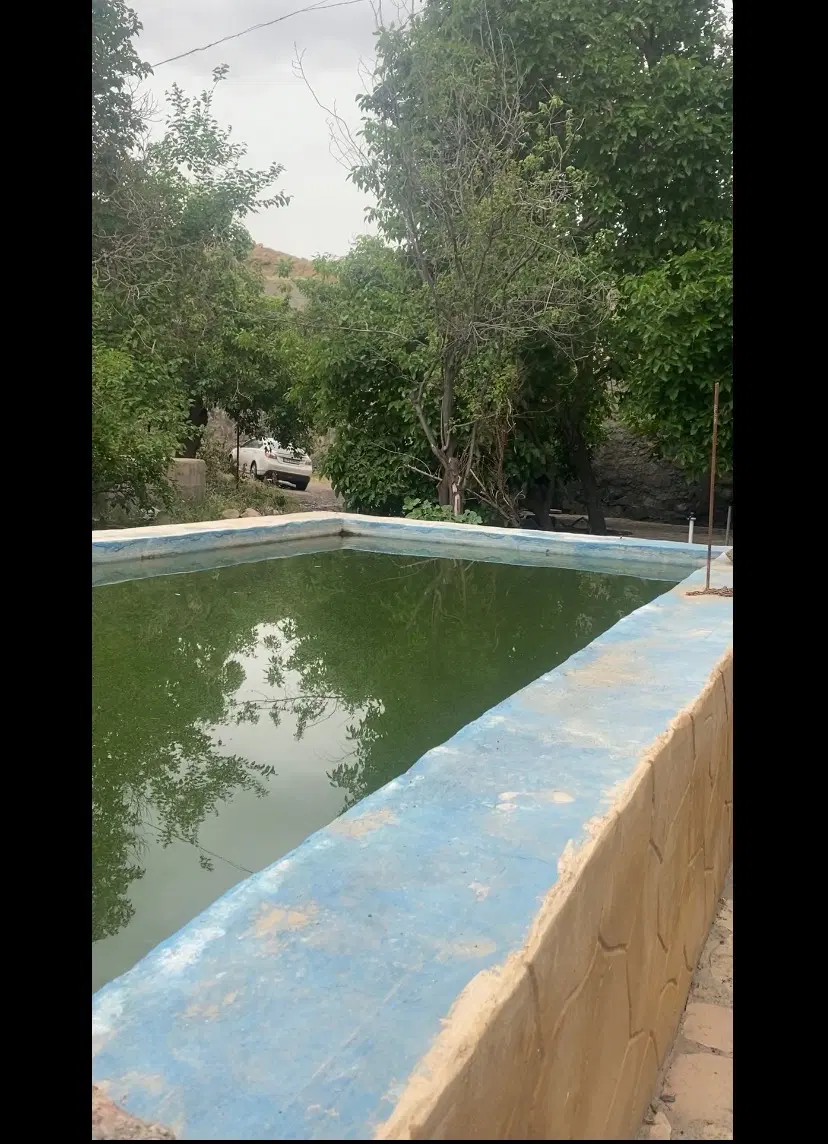 فروش باغ سند شش دانگ طرقبه  آب از داخل باغ میگذره