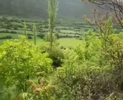 فروش زمین روستای صالحان منطقه کجور