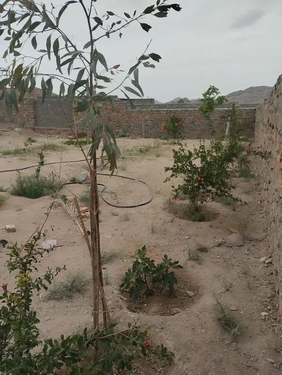 زمین باغ