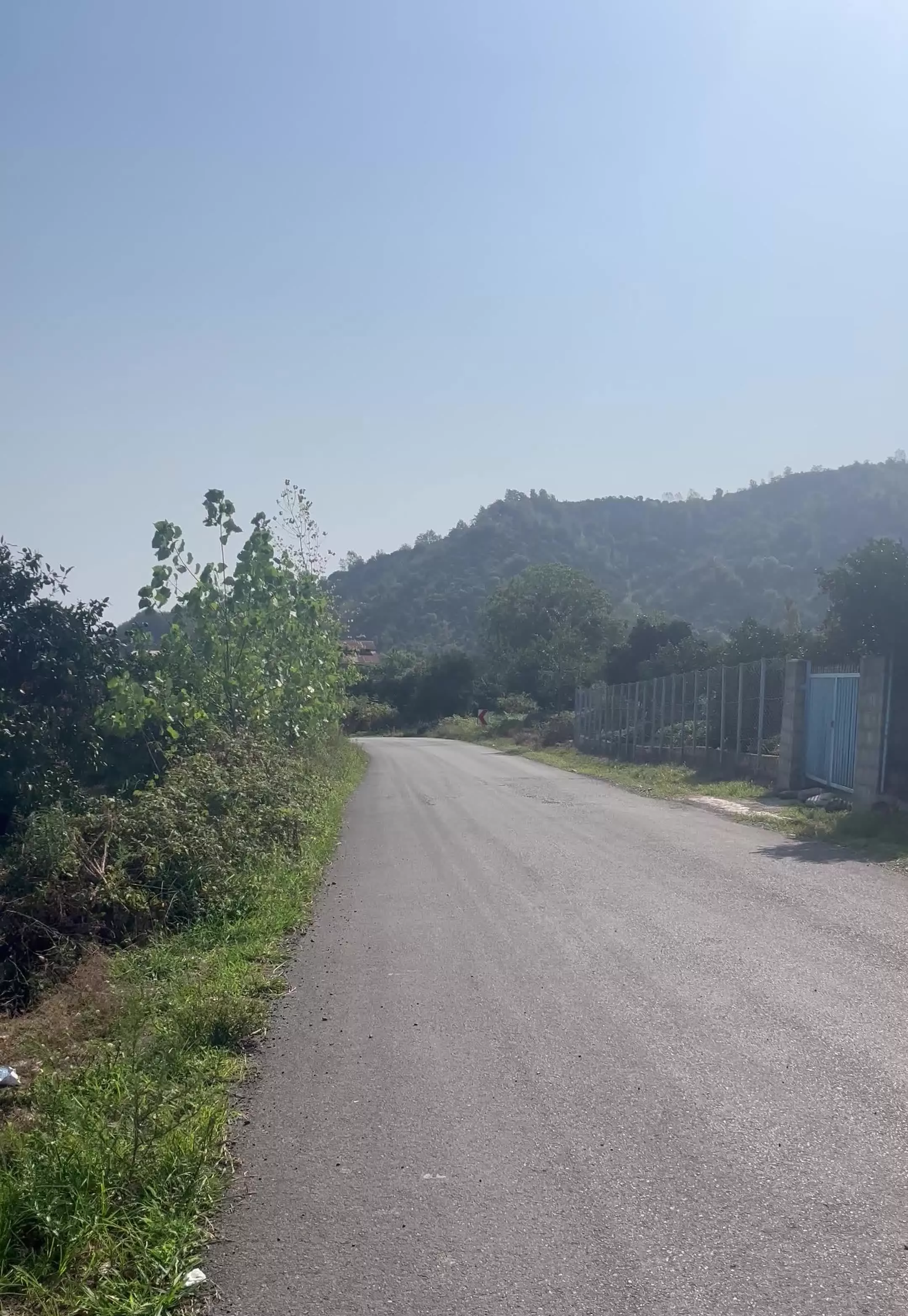 ۹۶۰ متر باغی واجارگاه