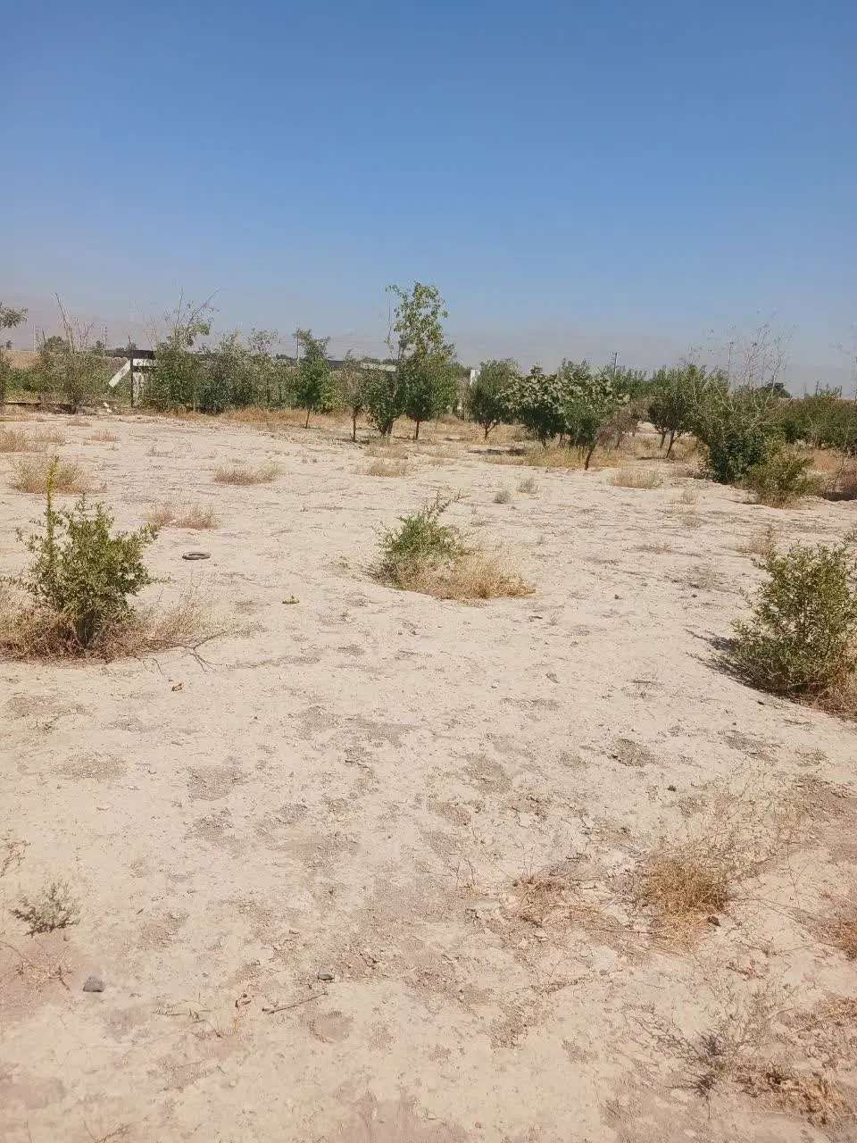 فروش باغچه ترشنبه