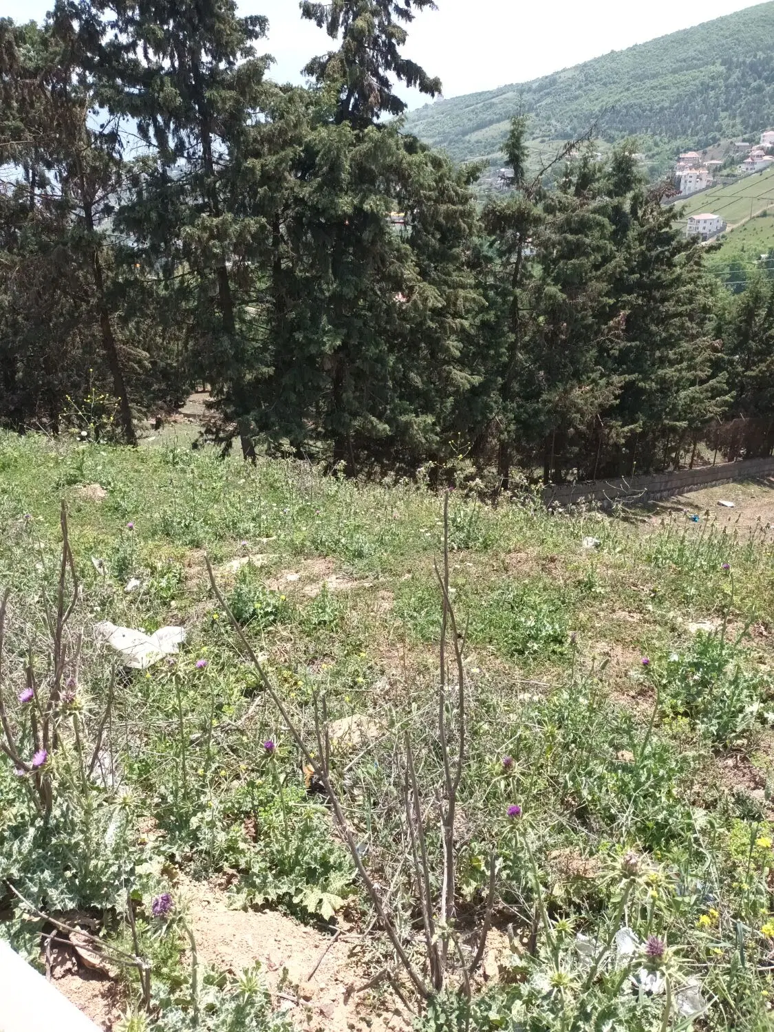 ۲۱۰متر زمین مسکونی تجاری بهر اصلی جاده