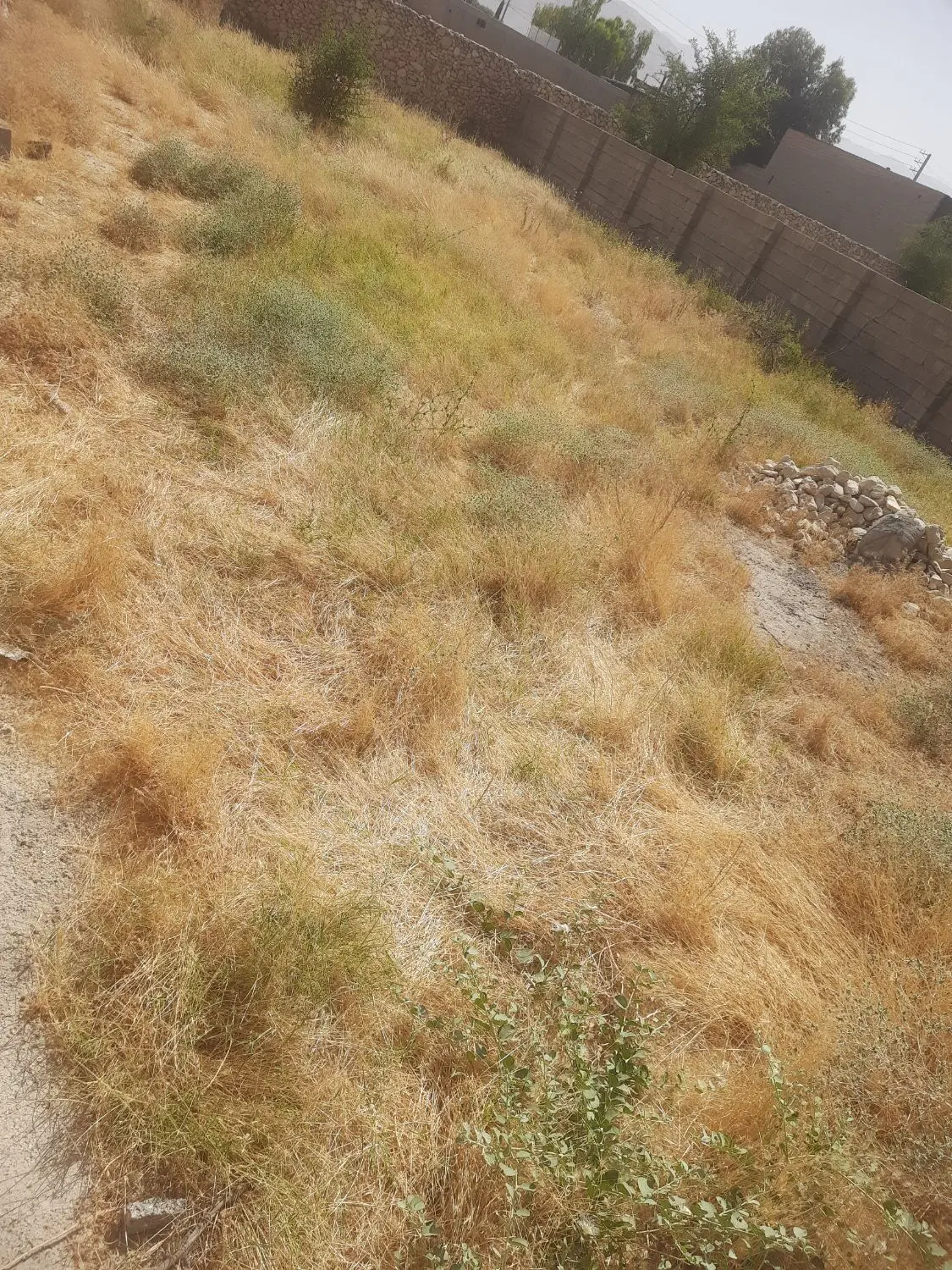 زمین ۴۲۰ متری دوبر سند تک برگ مشاع