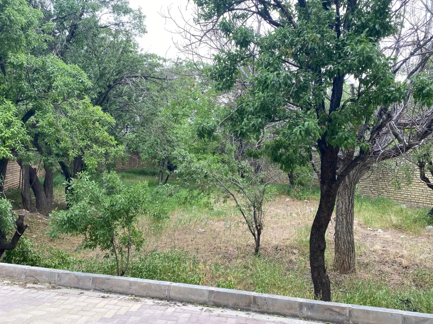 زمین