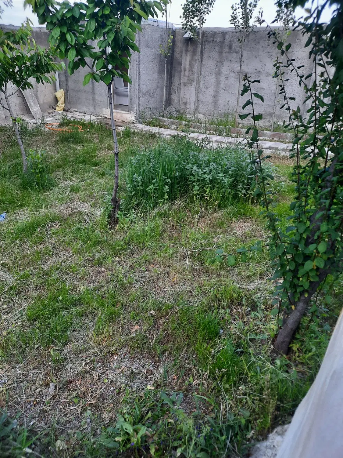 فروش زمین