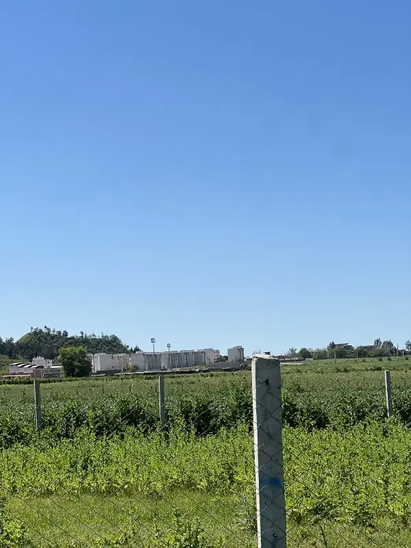 ۳۳۳ متر زمین (فرصتی طلایی برای سرمایه‌گذاری)