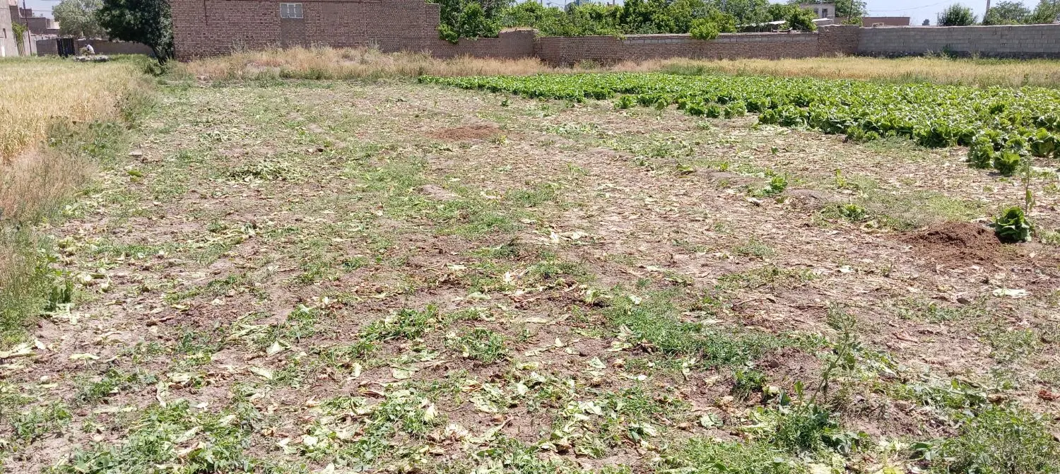 زمین مسکونی واقع در روستای حصارجوق بخش مرکزی