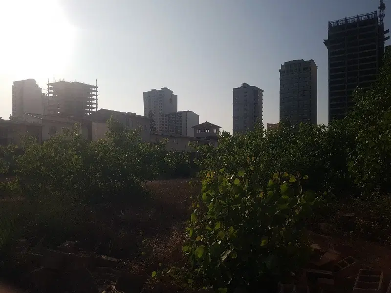 فروش زمین در سرخرود ، خط دریا ، بوستان