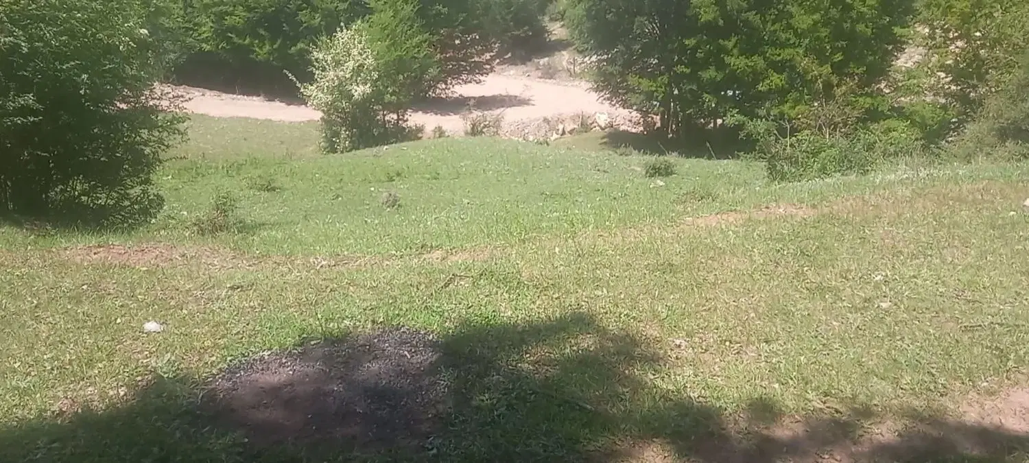 زمین  کجور ، کندلوس  داخل بافت