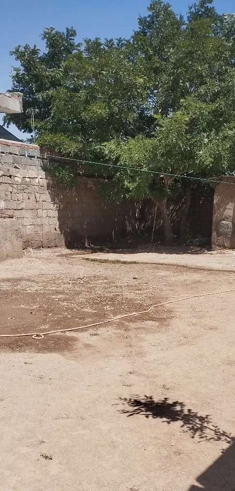 حیاط اجاره ای