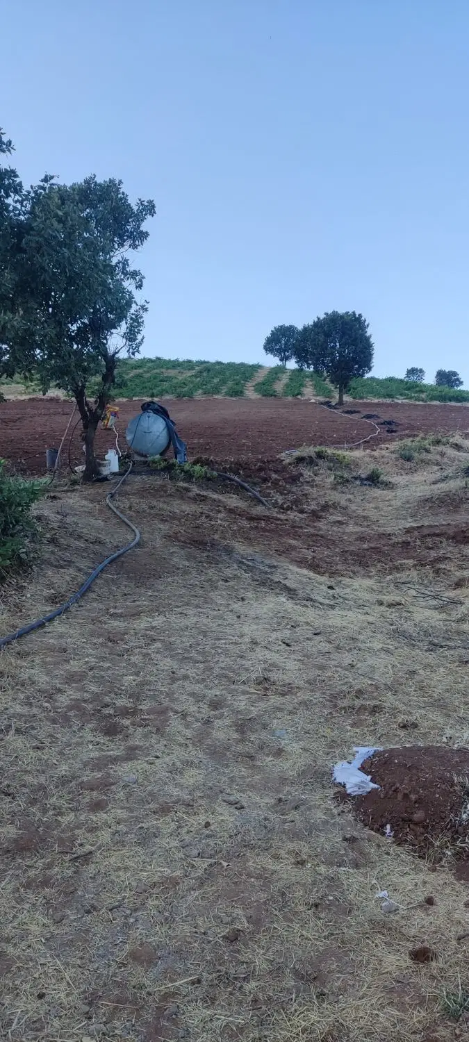فروش‌زمین‌کشاورزی