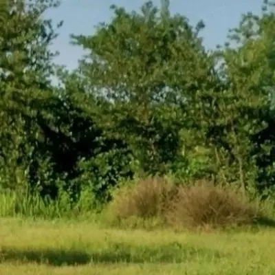 ۲۰۰ متر زمین مسکونی