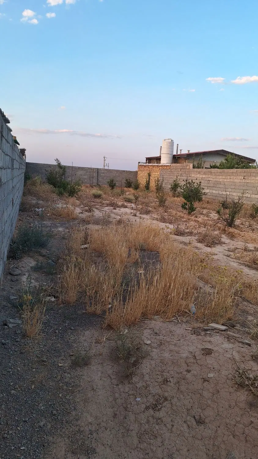 زمین