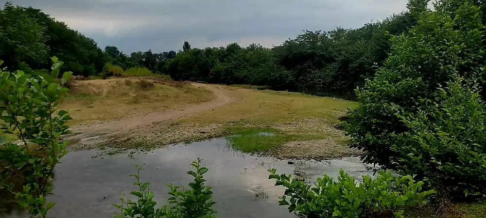 زمین به مساحت ۷۵۰ متر در پره سر دناچال