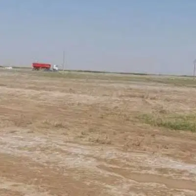 زمین تجاری ۶ هکتاری سر جاده