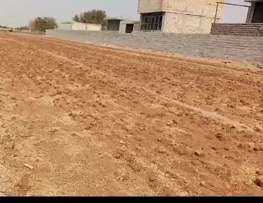 زمین