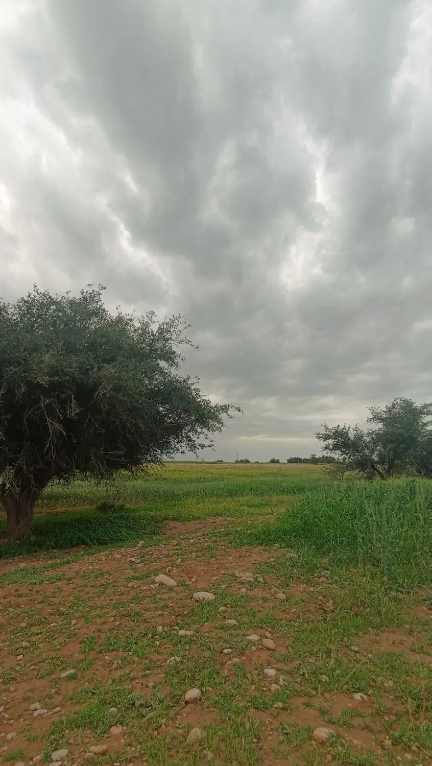 ۲ قطعه زمین مسکونی شهرک کوثر