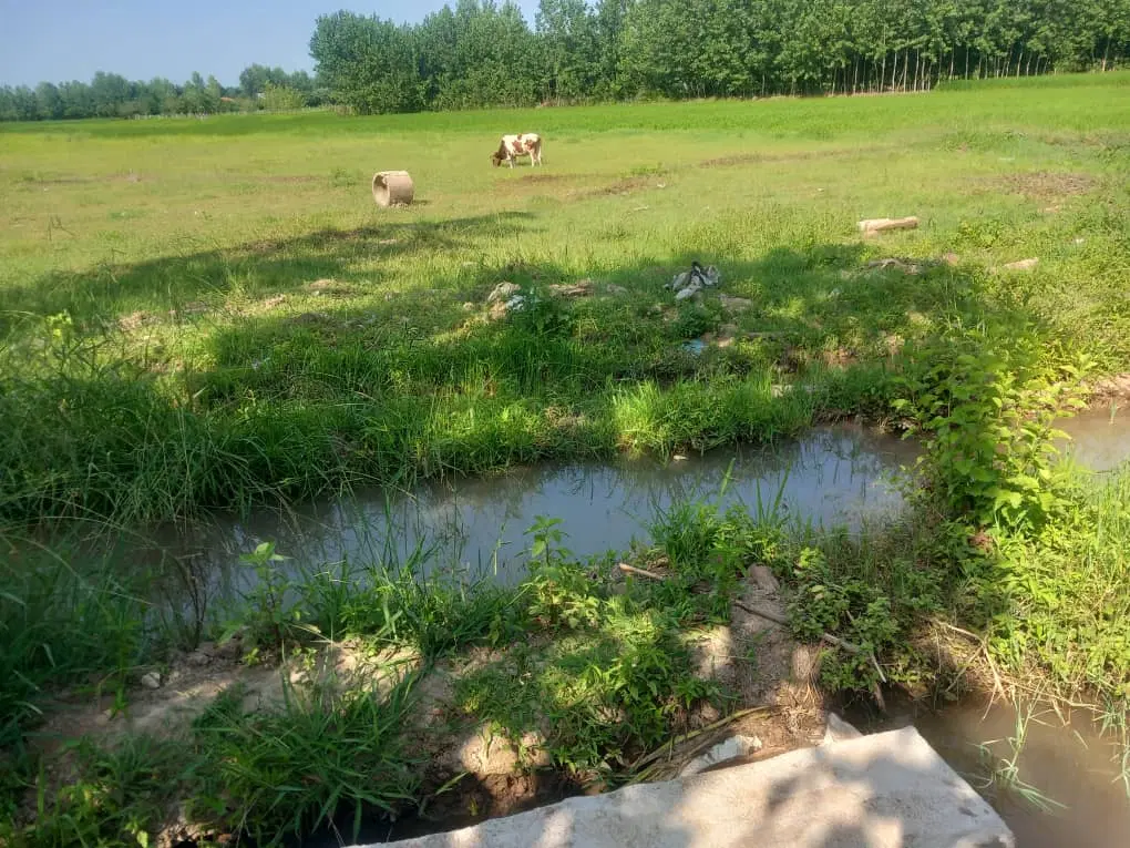 ۵۰۰مترزمین باغی