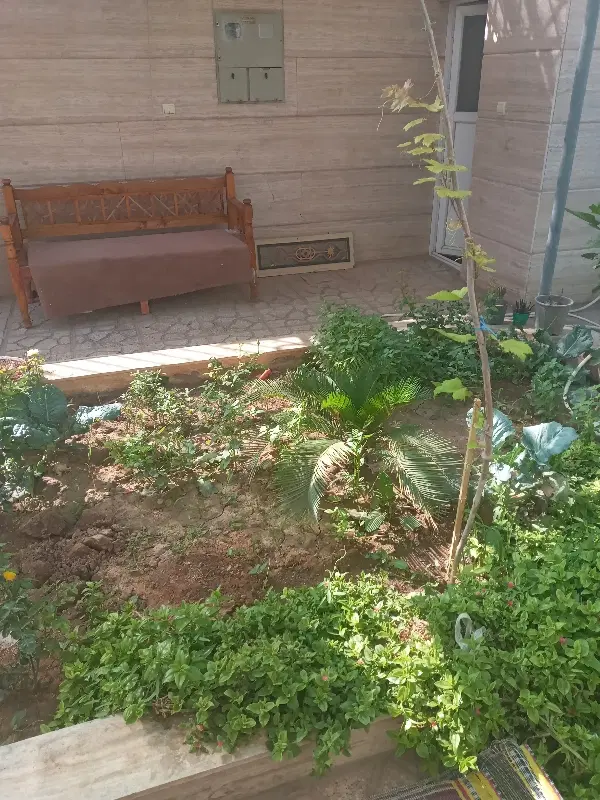 ویلایی روزیه ۲۱۶ متری